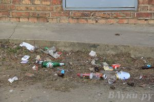 Город в ожидании субботника