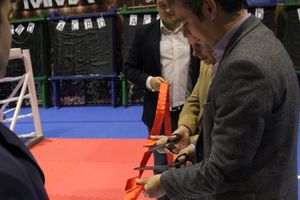 В Великих Луках открылся первый в Псковской области центр ММА