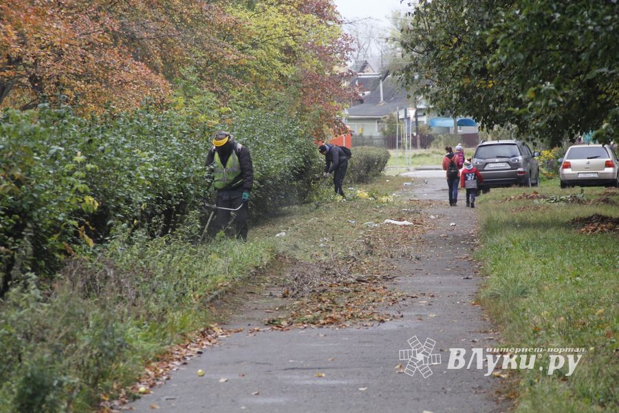 Октябрь: в Великих Луках продолжается покос (ФОТО)