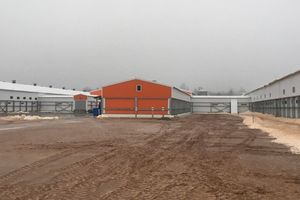 Крупнейший селекционно-генетический центр открылся в Куньинском районе (ФОТО)