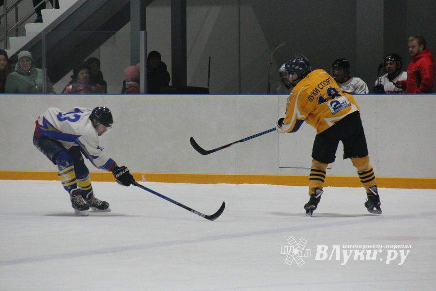 Определилась команда, которая будет представлять город на Кубке области по хоккею (ФОТО)