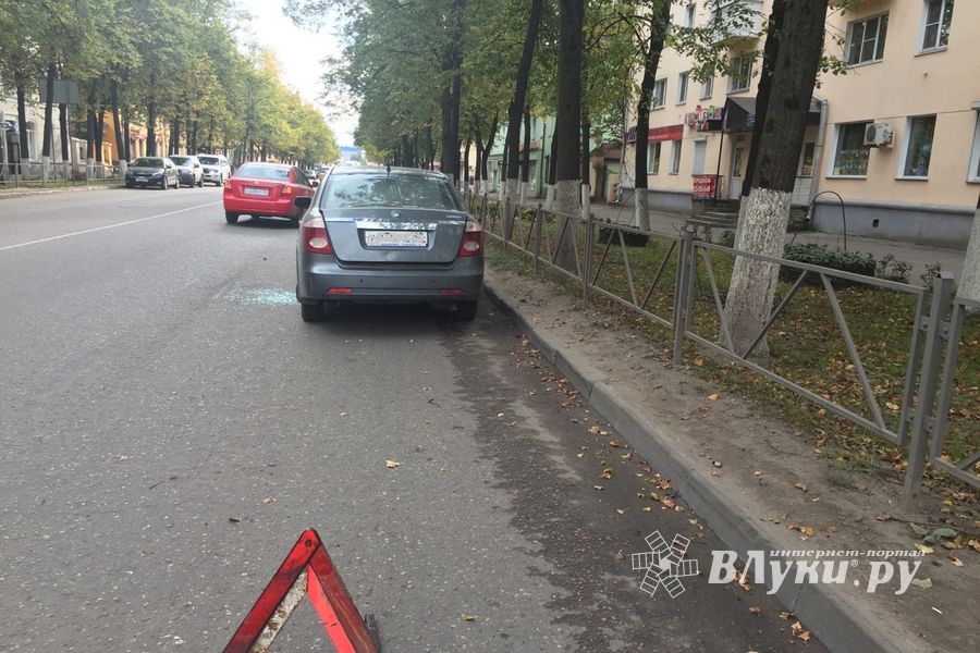 Автомобиль великолучанина попал под «обстрел» (ФОТО)