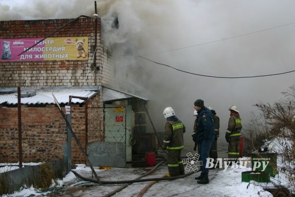 Неисправная печь в приюте для животных спровоцировала пожар