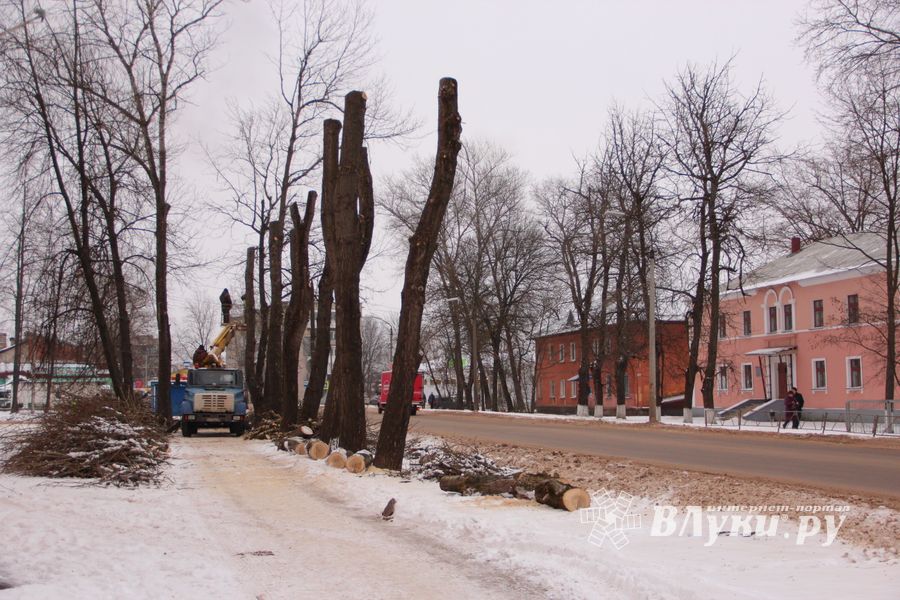 Одни ещё обрезают, а другие уже жалуются губернатору (ФОТО)