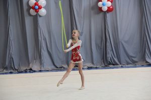 Великолучане стали призерами открытого турнира по художественной гимнастике (ФОТО)