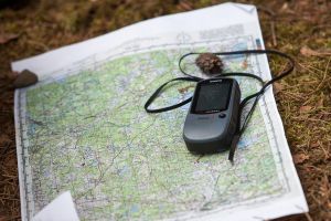 Андрей Турчак принял участие в поиске останков солдат Великой Отечественной (фото)