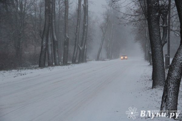 Жителей Псковской области предупредили о сильном снегопаде