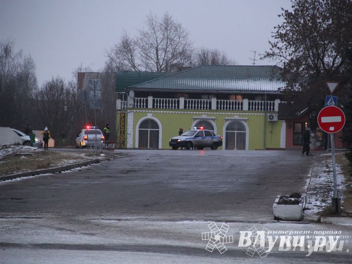 В Великих Луках установили новогоднюю елку (фото)