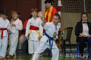Великолучане стали победителями турнира по каратэ «Неприкосновенный запас, дети — Отчизны 2015» (фото)