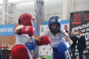 В Великих Луках проходит Кубок по кикбоксингу (ФОТО) (0+)