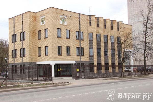 В связи с инцидентом, произошедшим с ребенком в Великих Луках, прокуратурой организована проверка