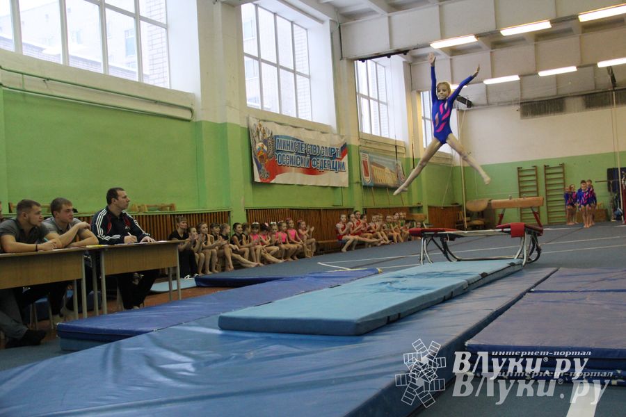 В Великих Луках состоялось Первенство по командной гимнастике (фото)