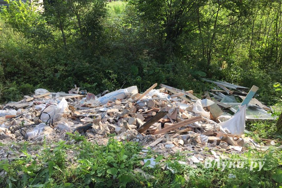 На обочину трассы Булынино-Невель выбрасывают даже автомобили (ФОТО)