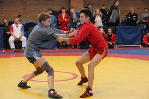 В Великих Луках прошли соревнования по самбо (ФОТО)