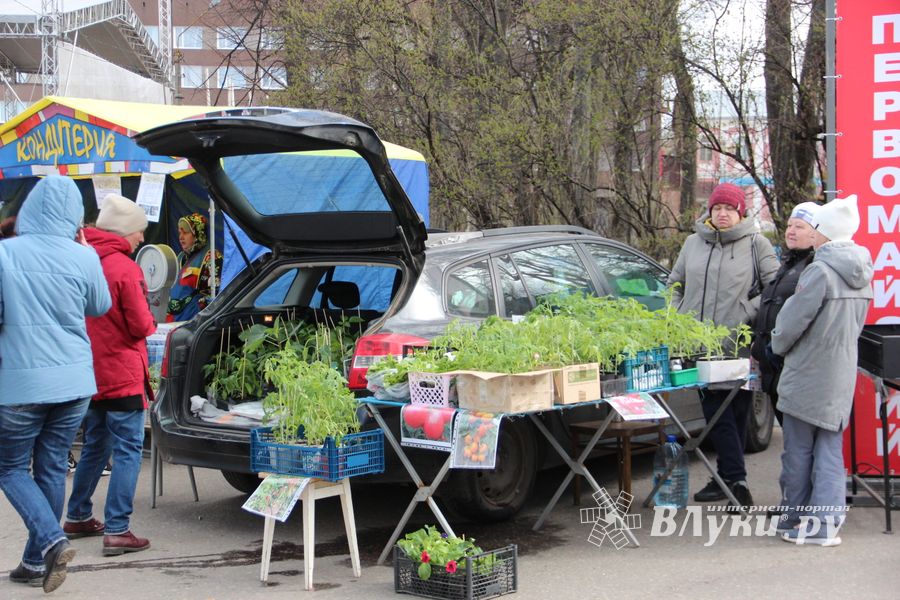В Великих Луках прошла ярмарка «Весна - 2022» (ФОТО)