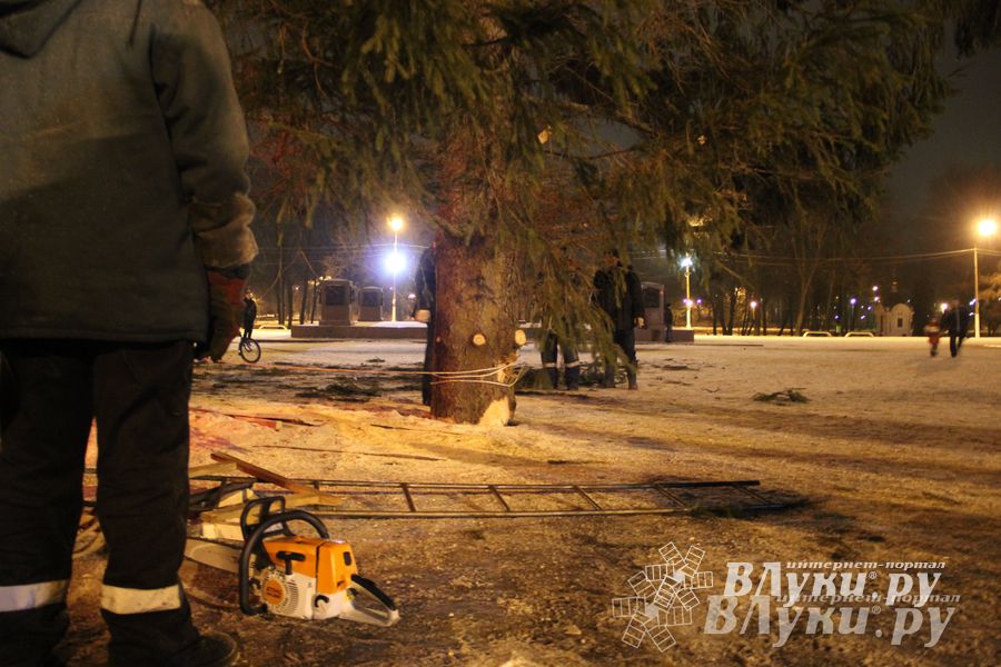 В Великих Луках установили новогоднюю елку (фото)