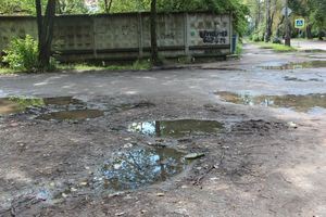 Великие Луки после дождичка в четверг (ФОТО)