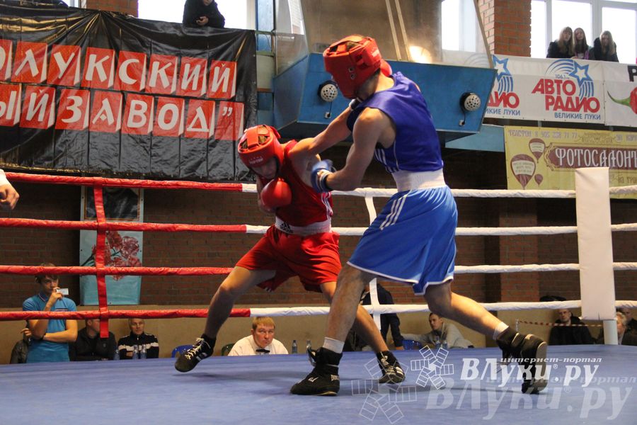 16-й Международный турнир по боксу (фото)