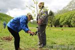 В Великих Луках посадили берёзы в рамках Всероссийской акции (ФОТО)