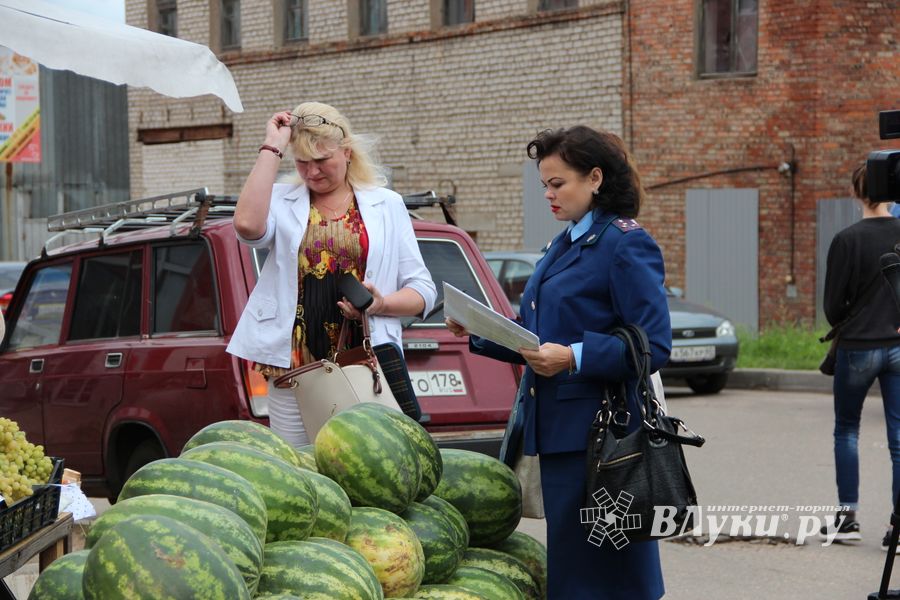 В Великих Луках проверили бахчевые (ФОТО)