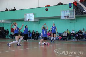 В Великих Луках прошли международные соревнования по волейболу (фото)