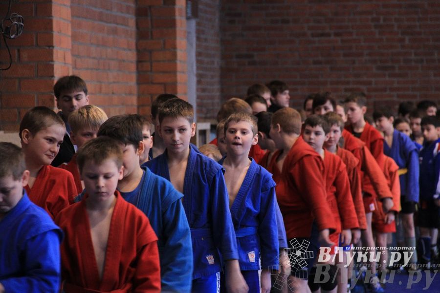 Состоялось Открытое первенство города Великие Луки по борьбе самбо