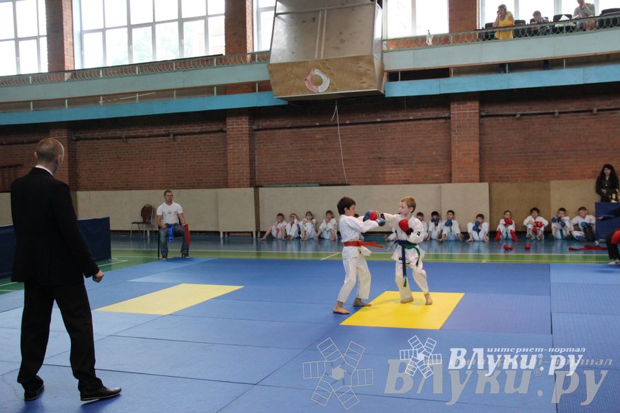 Турнир по каратэ «Неприкосновенный запас — дети Отчизны»