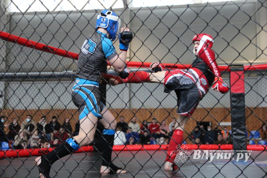 В Великих Луках прошел кубок по смешанному боевому единоборству (ФОТО)