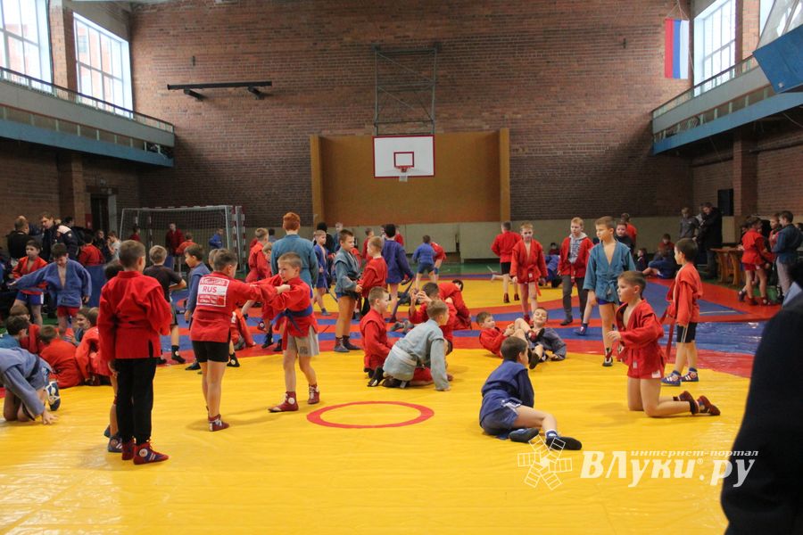 В Великих Луках проходит турнир самбистов (ФОТО)