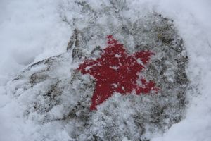 Никто не забыт: в Великих Луках благоустроили могилу неизвестного солдата (ФОТО)