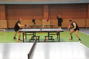 ​В Великих Луках прошел Кубок области по настольному теннису (фото)