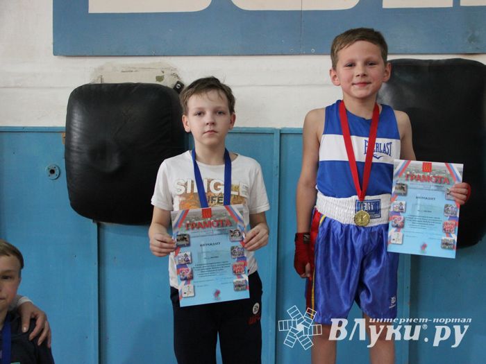 Юные великолучане выявили сильнейших боксёров (ФОТО)