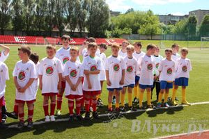 «Локобол-2013» в Великих Луках