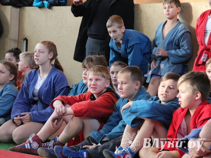 Великолучане завоевали награды турнира по самбо «Память» (ФОТО)