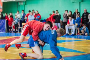 Фото: Александр Воробьев Великолучане завоевали награды Всероссийских соревнований по самбо