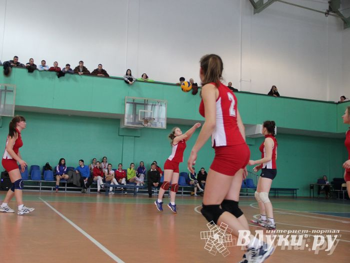 В Великих Луках прошли международные соревнования по волейболу (фото)