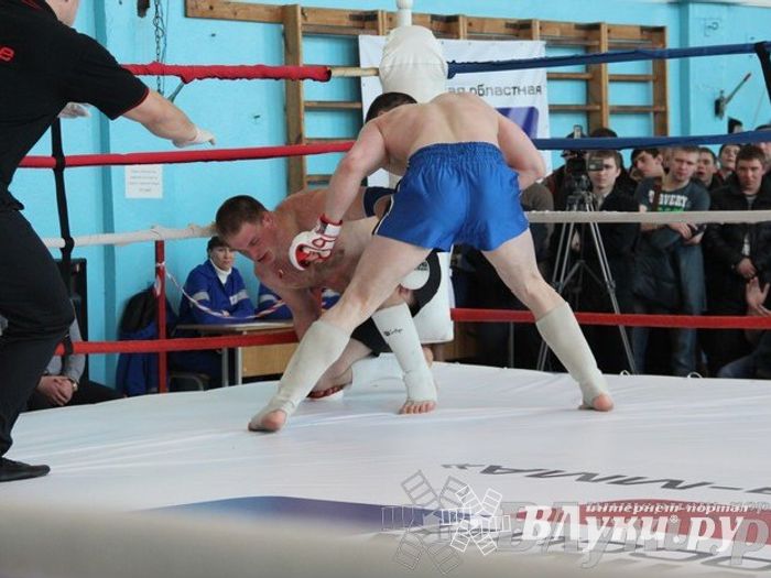 Чемпионат Псковской области по ММА