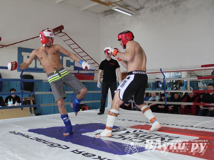 В Великих Луках прошел Чемпионат области по смешанному боевому единоборству (фото)