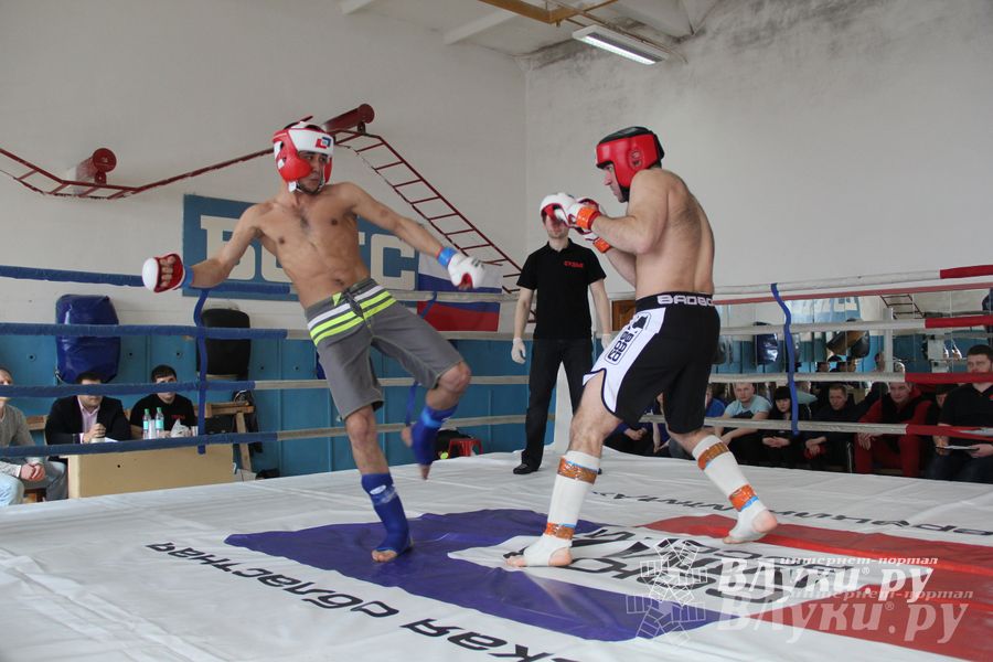 В Великих Луках прошел Чемпионат области по смешанному боевому единоборству (фото)