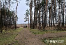 Прогноз погоды на 19 ноября в Великих Луках