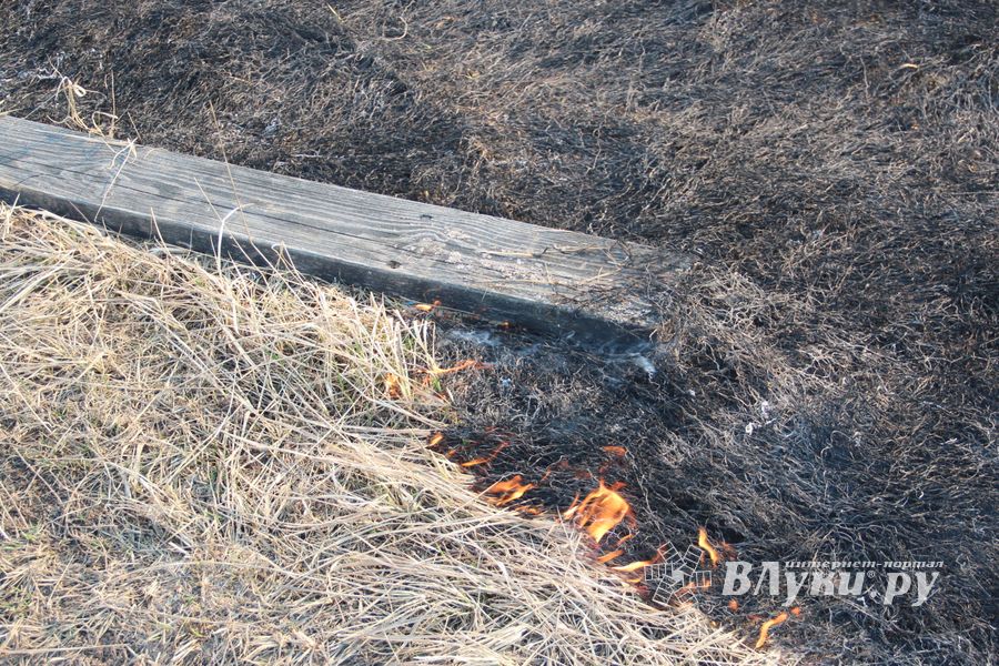 Великолукский район полыхает (ФОТО; ВИДЕО)