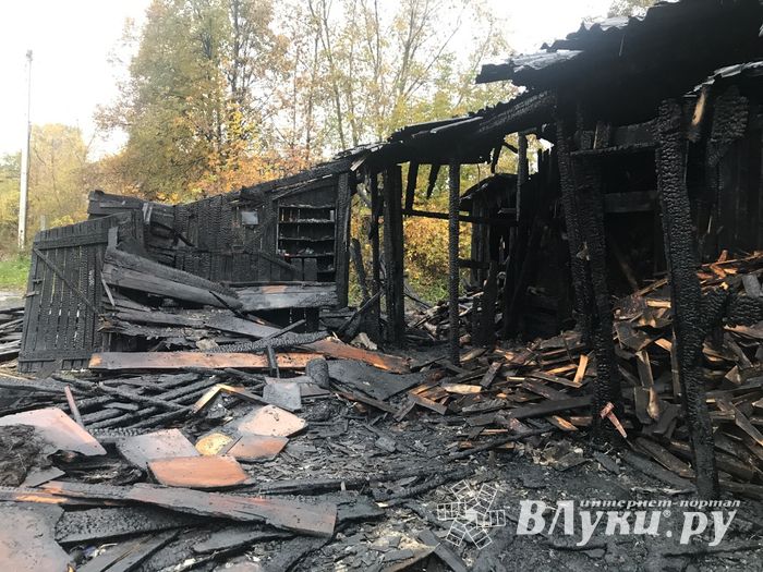 В результате поджога в Великих Луках пострадал 1 человек (ФОТО)