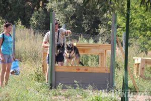 День открытых дверей на спортивно-дрессировочной площадке