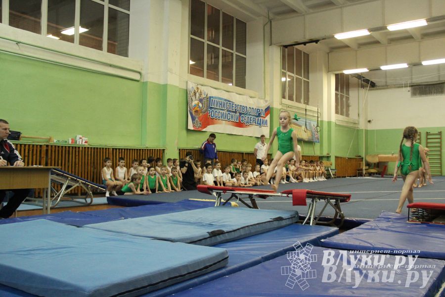 В Великих Луках состоялось Первенство по командной гимнастике (фото)