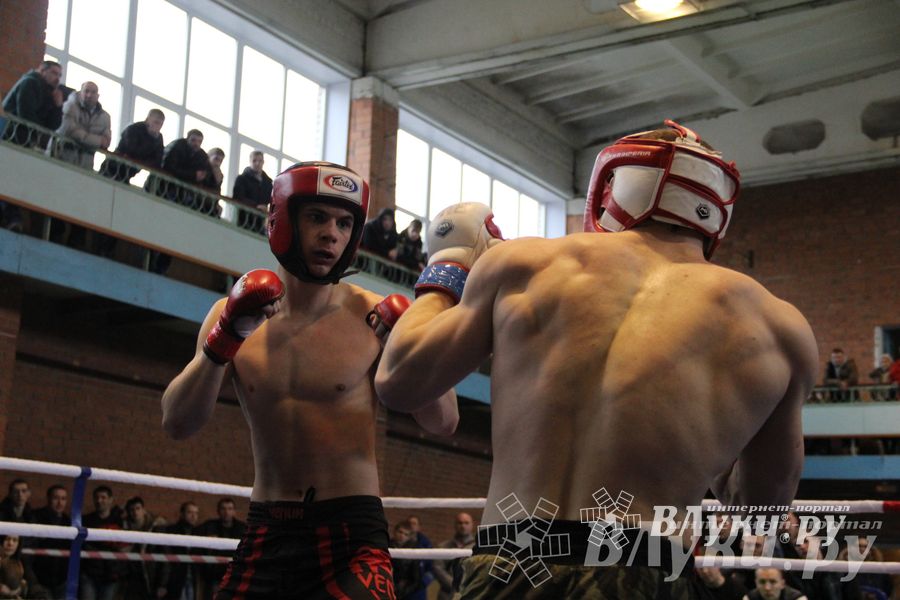 В Великих Луках прошел межрегиональный Открытый Кубок по смешанному боевому единоборству (фото)