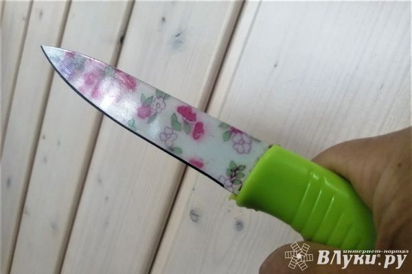 «Ты старая, ты ему не нужна, а я нужна»: ссора великолучанок закончилась убийством