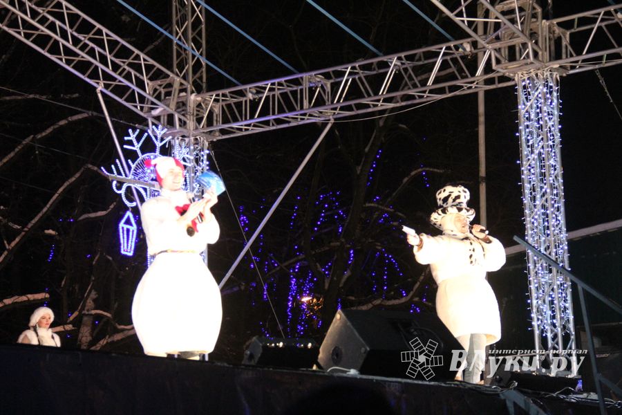 В Великих Луках зажглась новогодная ёлка (ФОТО)