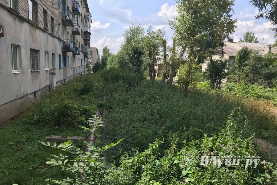 Пора приглашать англичан в Великие Луки (ФОТО)