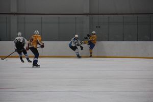 Две великолукские команды хоккеистов одержали победы в домашних матчах (ФОТО)