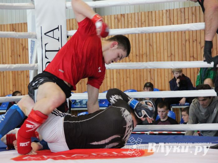 Открытый кубок по смешанному боевому единоборству ММА прошел в Великих Луках (ФОТО)